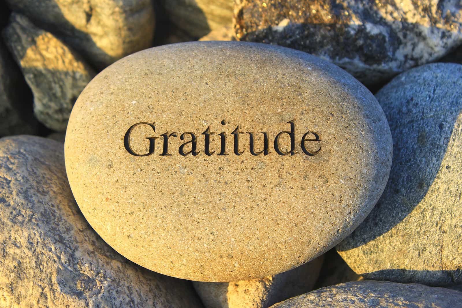 Gratitude is a leadership tool