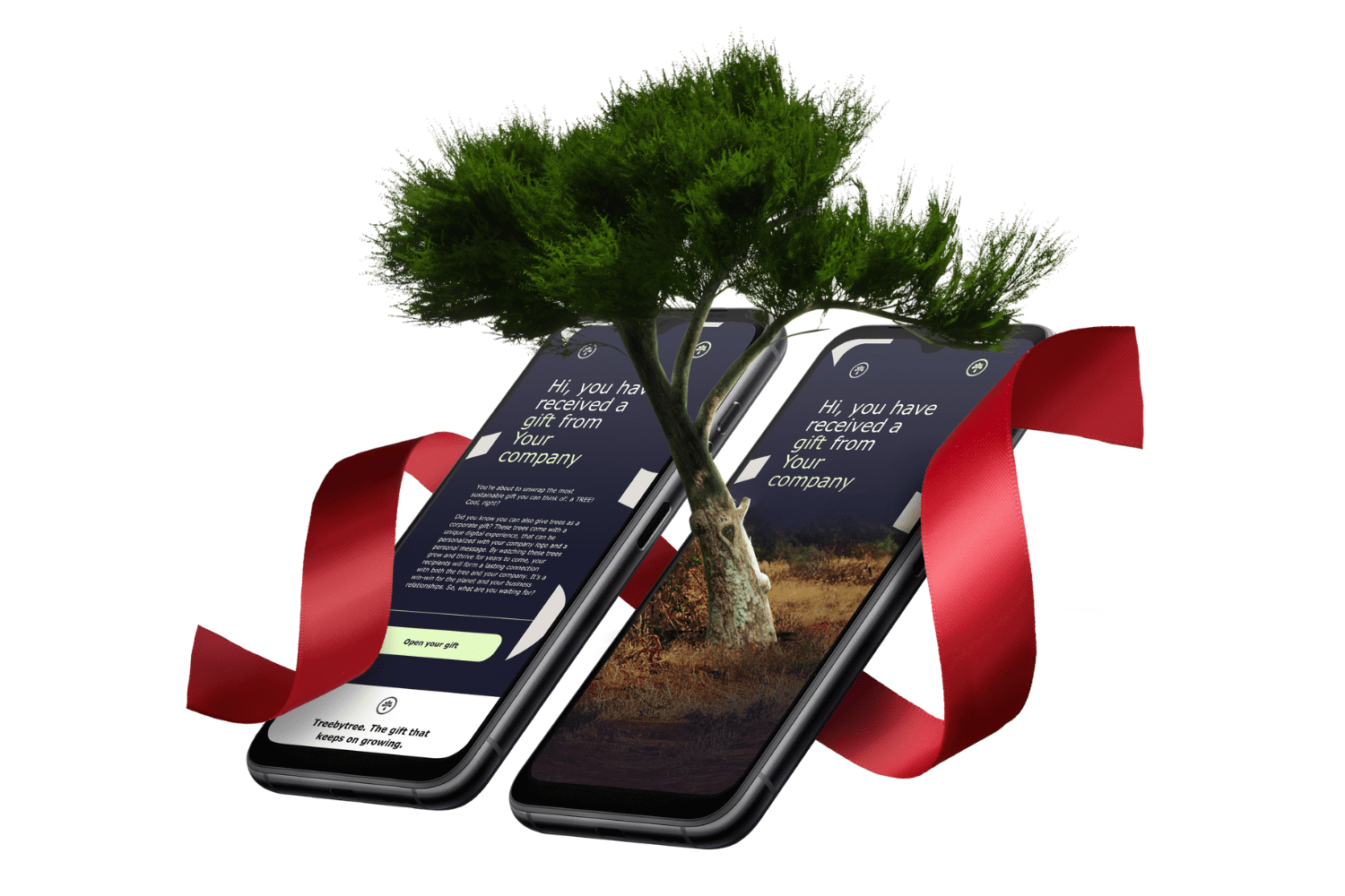 treebytree email